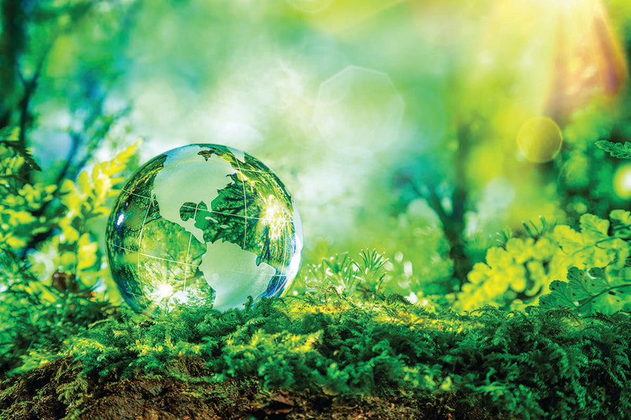 What is this all about?